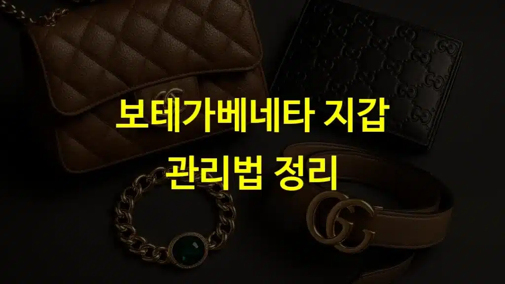 보테가 지갑 가죽 관리법 총정리