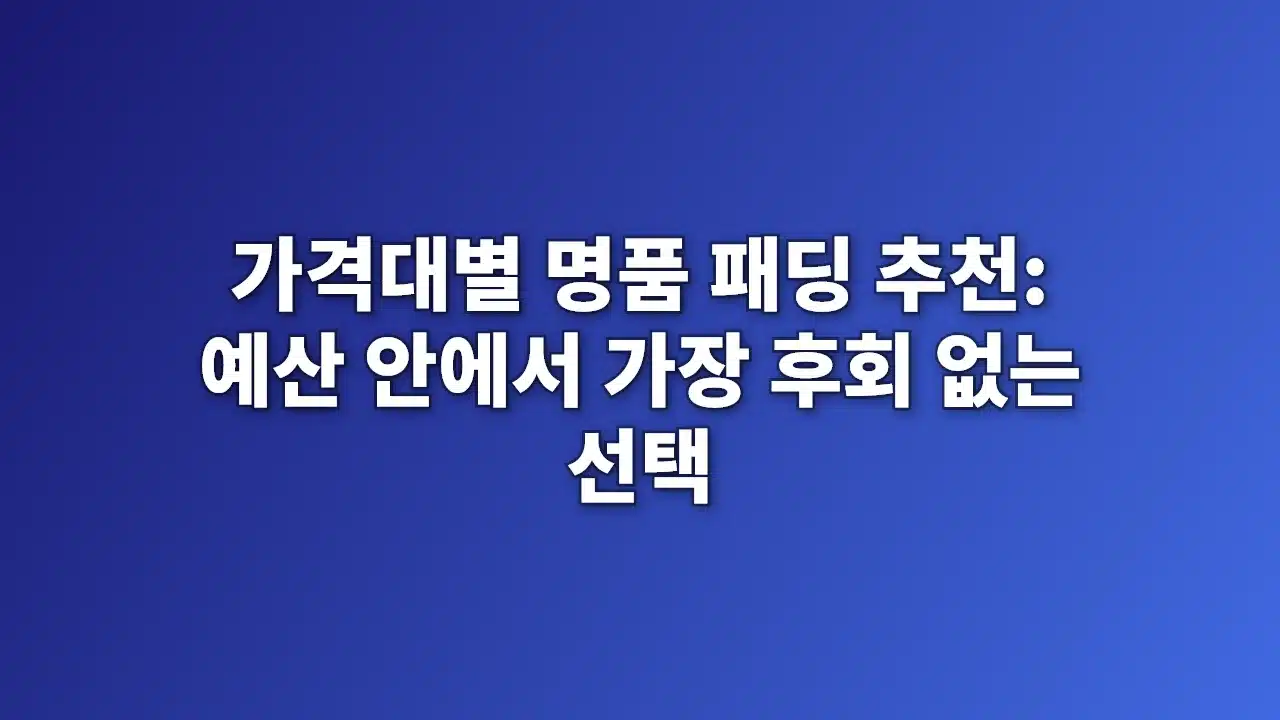 명품 패딩을 예산 충전재 무게 핏으로 비교하는 이미지